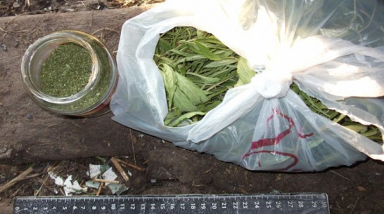 У жителя Воронежской области нашли полкило марихуаны