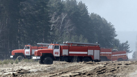 В Воронежской области в 2022 году проведут капремонт лесопожарных станций