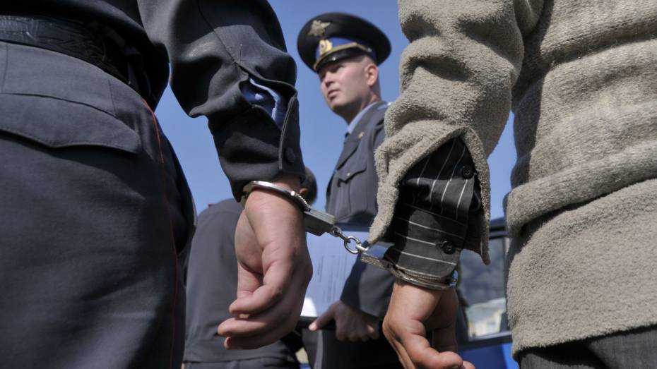 Группа автомобильных воров задержана в Лискинском районе 
