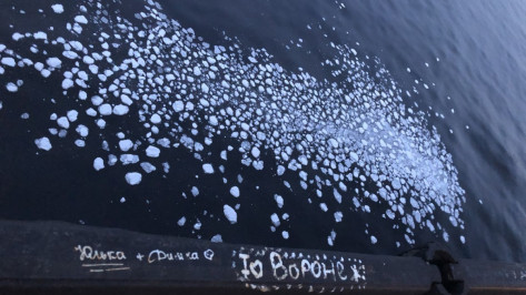 Спасатели прокомментировали разлив нефтепродукта на Воронежском водохранилище