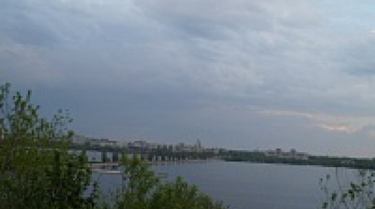 Cпасатели предупредили воронежцев о штормовом ветре