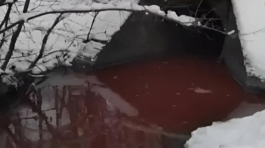 Ручей кроваво-красного цвета заметили на левом берегу Воронежа