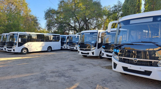 В Воронеже маршрут №18 начнут обслуживать автобусы с большей вместимостью