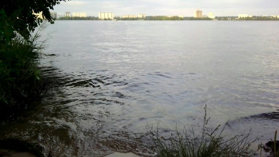 В Воронеже в реке Усманка утонул мужчина