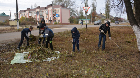 Новости пески поворинского. Глава село Пески Поворинский район. Игорь Николаевич Потапов Поворинский район село Пески. Председатель СПХ Песковский Борис Скопов Пески Поворинский район. Планета-Агро Пески Поворинский район видео.