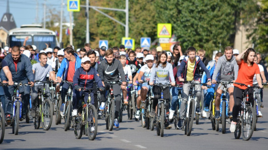 Жителей Каменского района пригласили на велопробег 17 августа