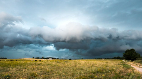 На сочетание неблагоприятных погодных явлений в Воронежской области указали синоптики