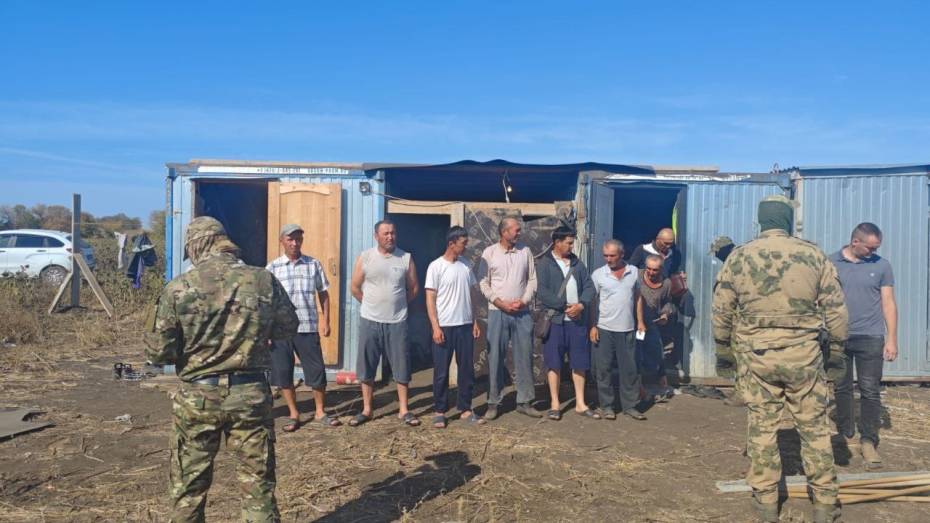 Воронежские полицейские провели рейд на стройке в Новохоперском районе