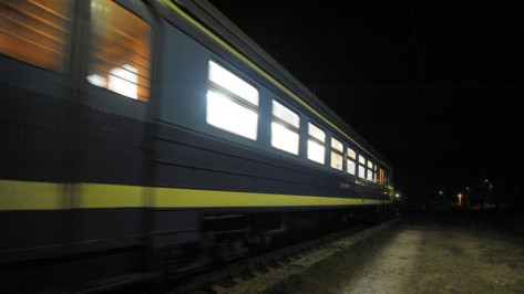 РЖД предложило оценить необходимость быстрого поезда «Воронеж – Ростов»