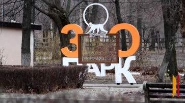 В Воронежском зоопарке рассказали, как животные готовятся к зиме