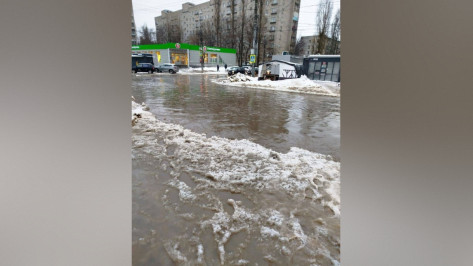 Из-за резкого потепления Воронеж затопило: фото и видео