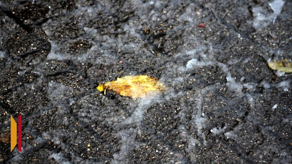 Воронежцев предупредили о тумане и гололеде