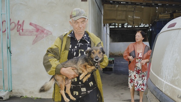 Более 60 собак стерилизуют и вакцинируют в Подгоренском районе до конца года