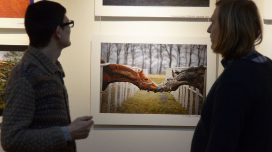 В Воронеже открылась фотовыставка «трех юбилеев»