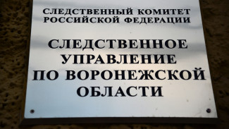 Воронежец предстанет перед судом после гибели сына в пожаре