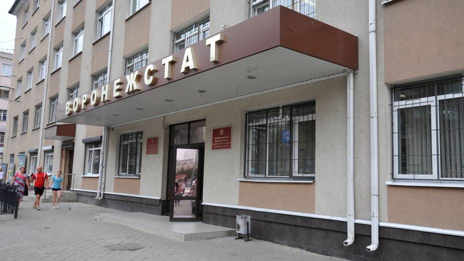 Средняя зарплата в Воронежской области составила 30,6 тыс рублей