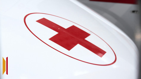 В Воронежской области Toyota врезалась в фуру: погиб мужчина