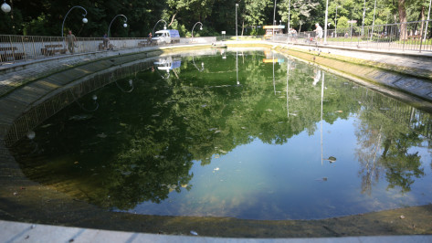 Рыб из пруда в Центральном парке Воронежа выпустили в водохранилище
