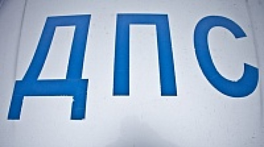  В Воронеже сотрудники ГИБДД проверили водителей рядом с дошкольными учреждениями