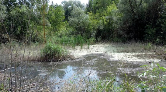 С химического предприятия в Воронежской области потребовали 4,3 млн рублей за вред почвам