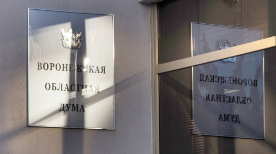 Власти региона включили в программу развития Воронежской области 5 инвестпроектов