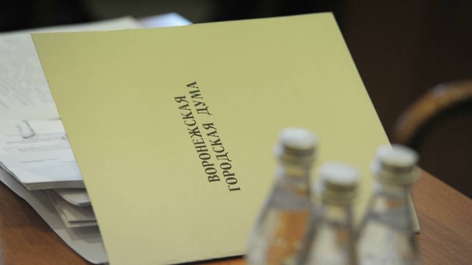 Депутаты Воронежской гордумы утвердили корректировку бюджета