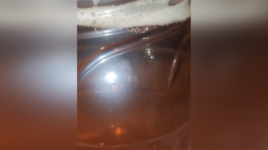 Пиво с червями попалось воронежцам в магазине крупной сети