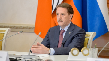 Губернатор Воронежской области за год заработал 10,6 млн рублей