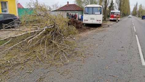 Число пострадавших в ДТП с маршруткой в Воронеже выросло до 7 человек