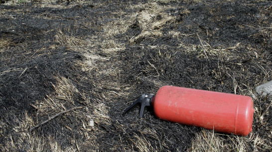 Неосторожность или поджог: первые ландшафтные пожары произошли в Воронежской области
