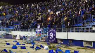 В Воронеже лидеров фанатов арестовали за драку на матче «Факел» – «Динамо»