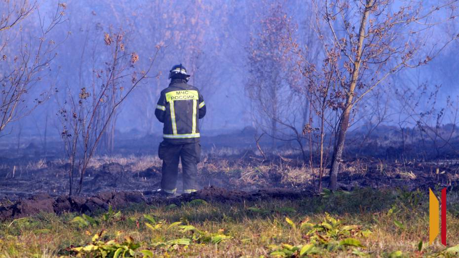 В Воронежской области продлили оранжевый уровень погодной опасности из-за пожарной угрозы