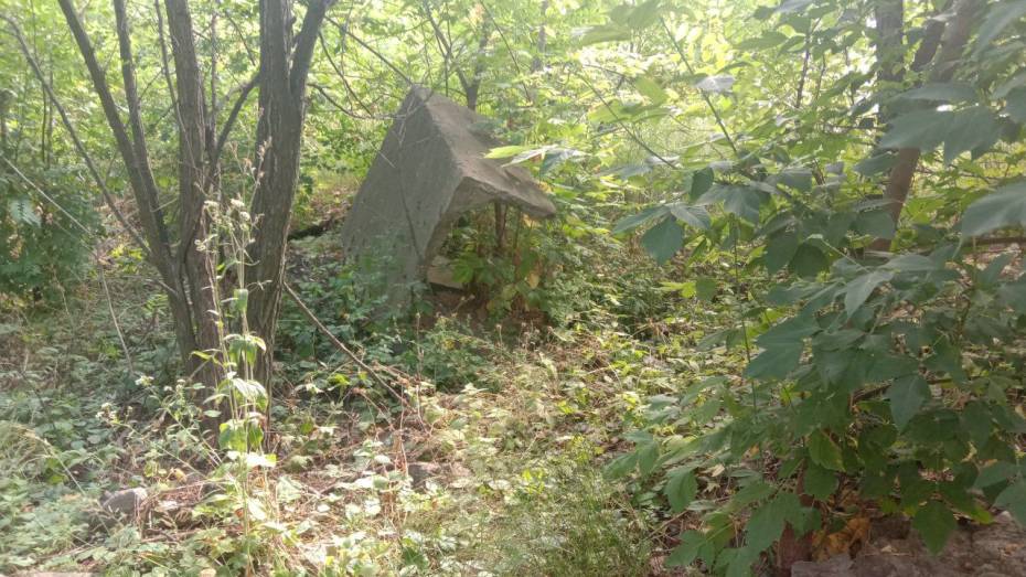 Экологи нашли строительный мусор в Северном лесу в Воронеже