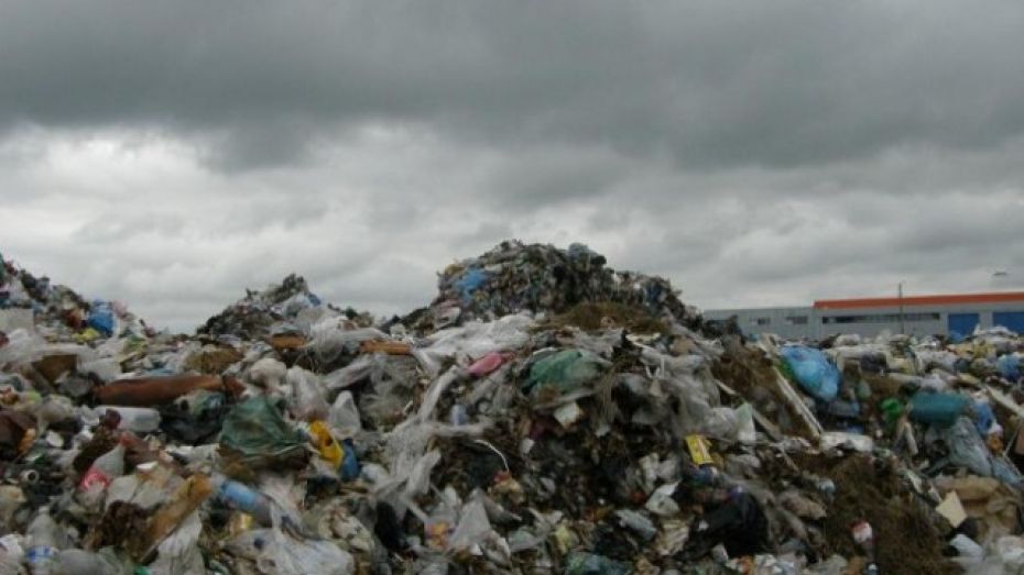 В Подгоренском районе в пятый раз обокрали мусорную свалку