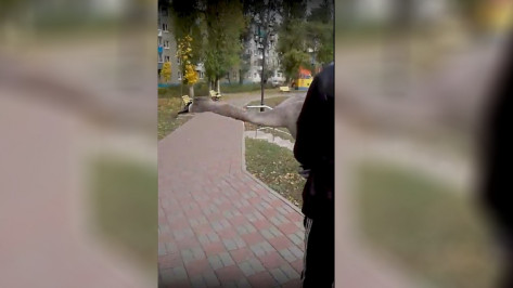 Спасение оказавшегося на воронежской дороге лебедя попало на видео