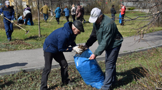 Жителей Поворино позвали в городской парк на субботник