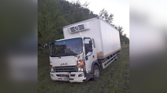 Пенсионер погиб под колесами грузовика на трассе в Воронежской области