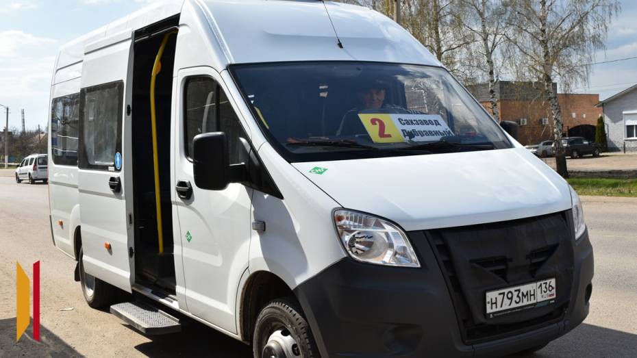 В Грибановке 23 августа продлят время работы общественного транспорта