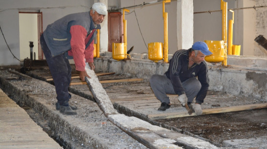 Нижнедевицкие животноводы подготовили помещения для скота к зимовке