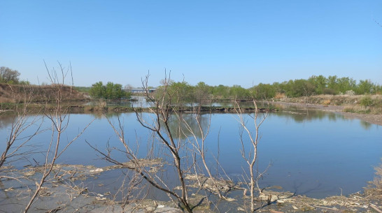 Под Воронежем ущерб от слива канализационных вод оценили почти в 50 млн рублей