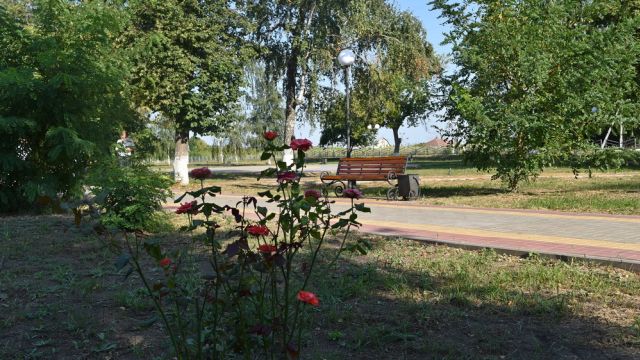 Грибановские активисты получили грант 1,4 млн рублей на «Аллею счастья»