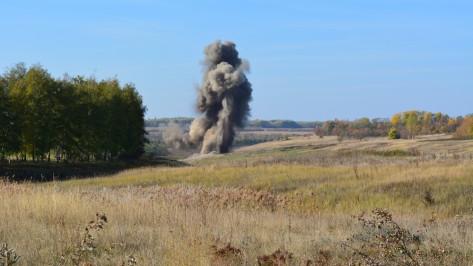 В Острогожском районе взрывотехники уничтожили 45 снарядов времен войны