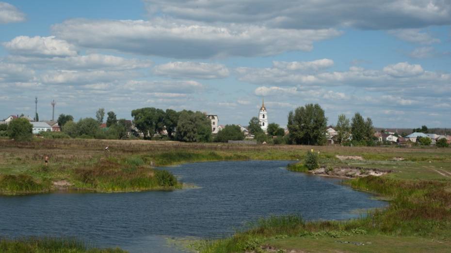 Жители воронежского микрорайона на 16 часов остались без света из-за двойной аварии 