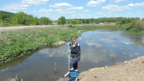 Очистные сооружения продолжают загрязнять почву возле микрорайона Радуга под Воронежем