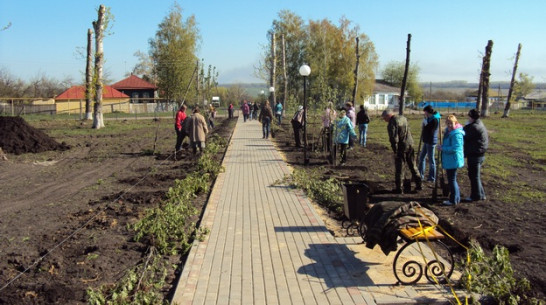 В ходе экологического субботника жители Хохольского района посадили 400 деревьев