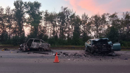 Три человека погибли и трое ранены в страшном ДТП на трассе Курск – Воронеж