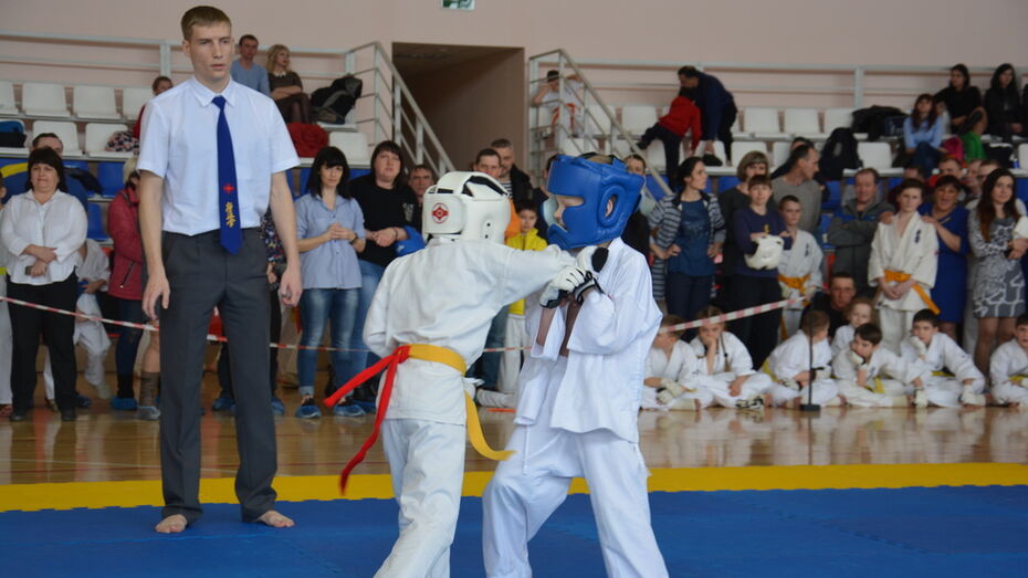 В Поворино открытое районное первенство по киокусинкай карате пройдет 14 апреля