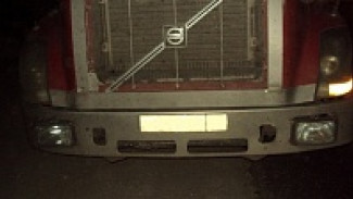 В Воронежской области в ДТП с фурой и легковушкой погиб человек