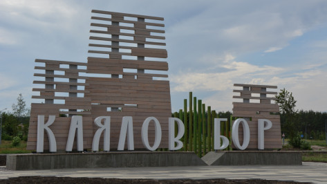 Открытие экопарка «Каялов бор» в Воронежской области состоится 4 сентября