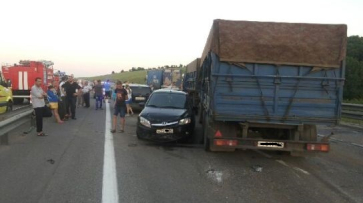 В Воронежской области погибли 2 человека в массовом ДТП на трассе М4 «Дон»